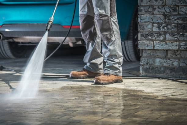 Best Pre-Holiday Cleaning  in Norristown, PA